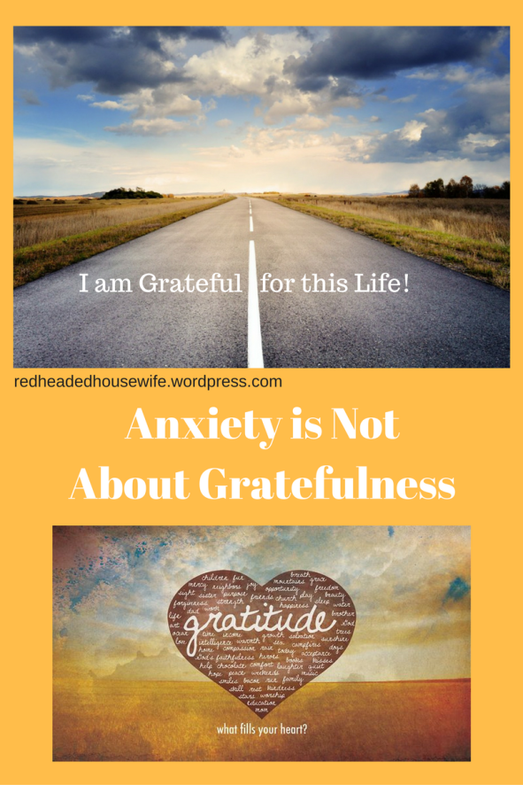 Anxiety is Not About Gratefulness-Mental-Illness- Support-Love-Understanding-Kindness-https___redheadedhousewife.wordpress.com
